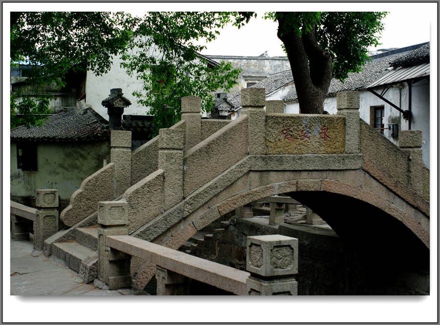 IMGP0946.jpg