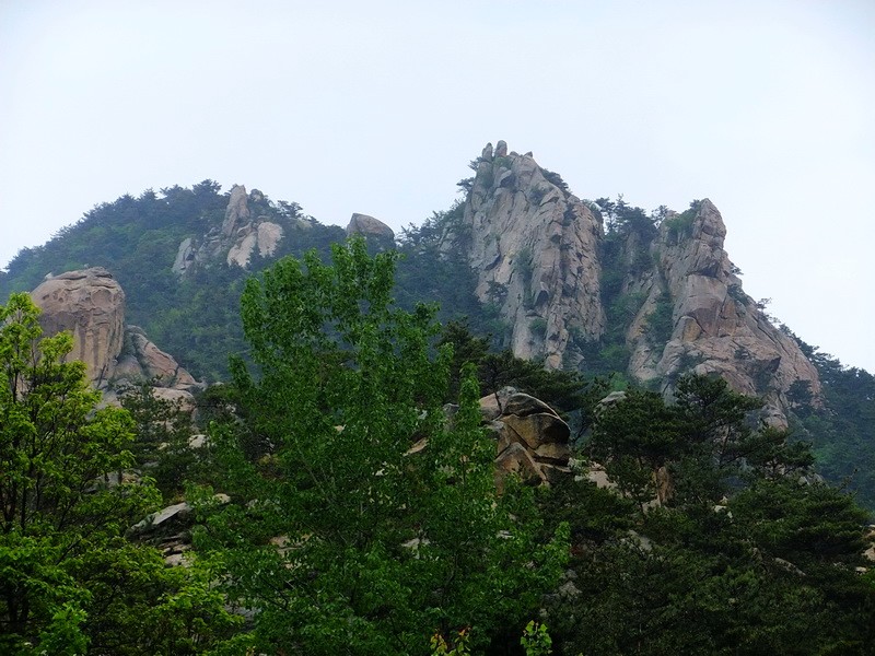 DSCF1742.jpg