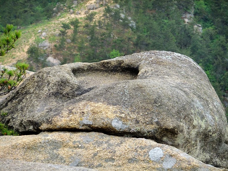 DSCF1757.jpg