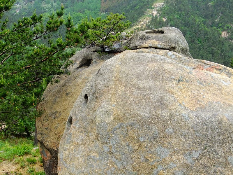 DSCF1756.jpg