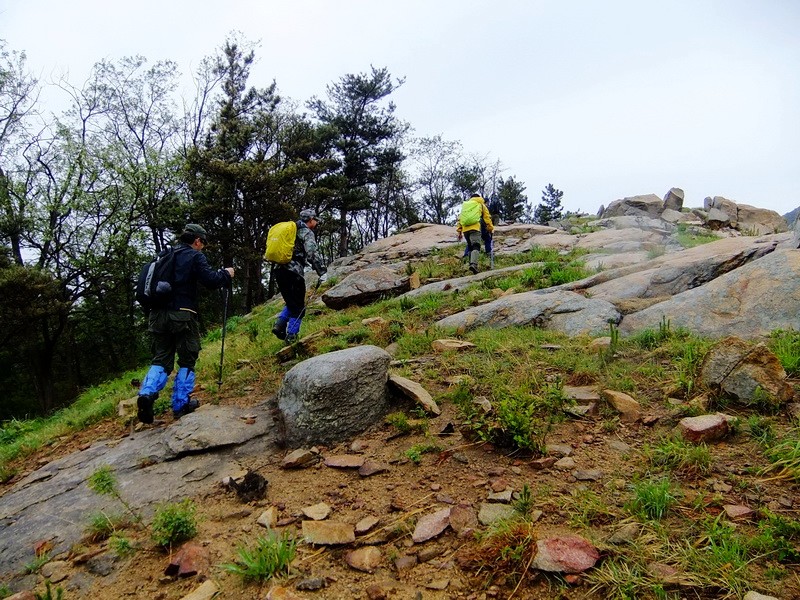 DSCF1768.jpg