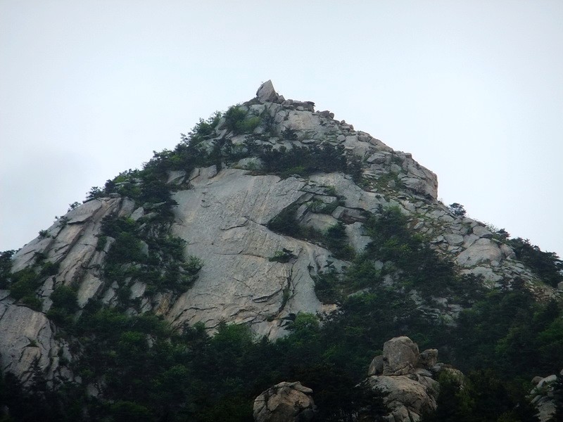 DSCF1771.jpg