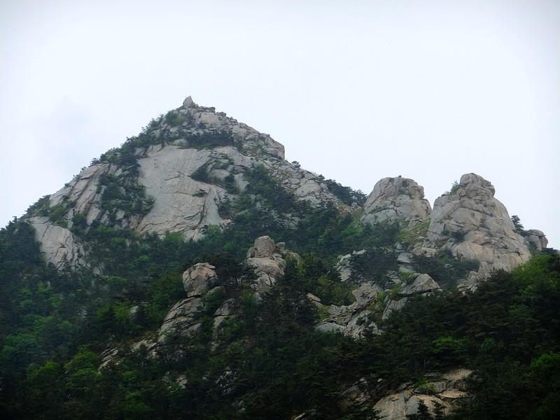 DSCF1769.jpg