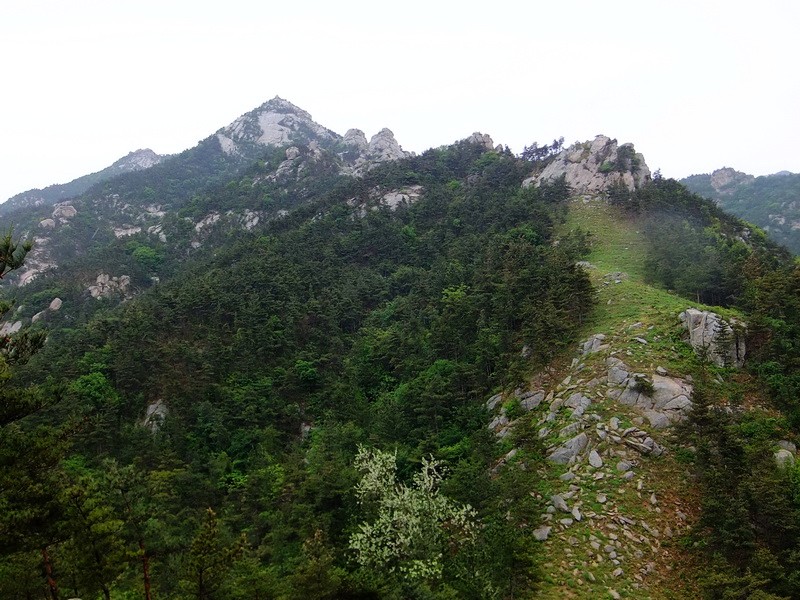 DSCF1773.jpg