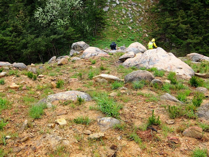DSCF1774.jpg