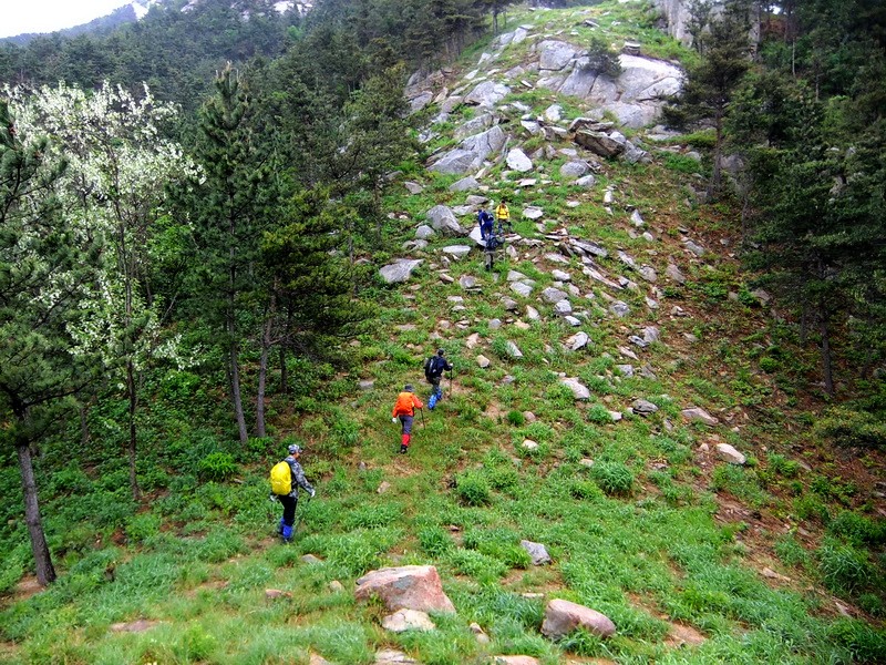 DSCF1776.jpg