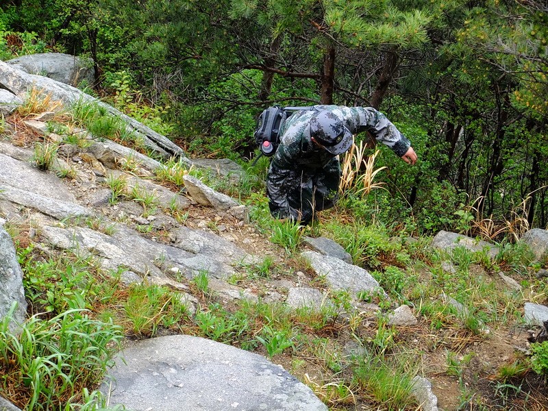 DSCF1790.jpg