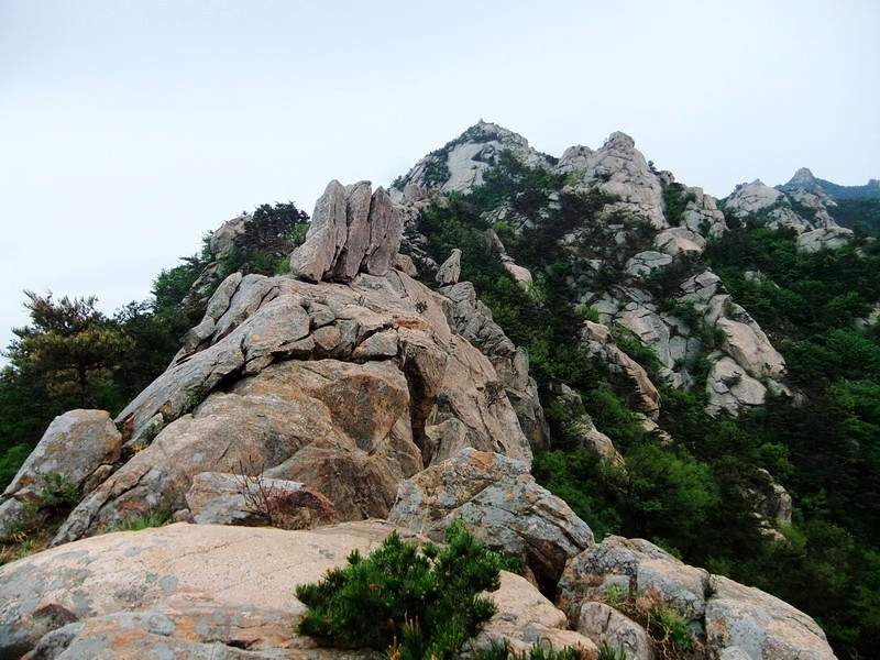 DSCF1787.jpg