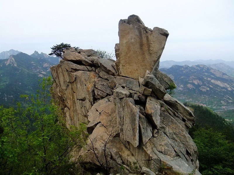 DSCF1789.jpg