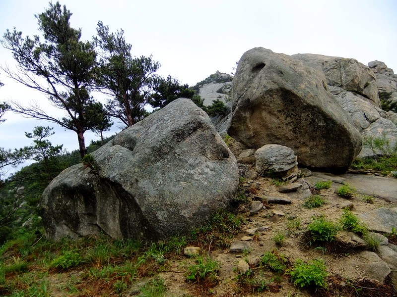 DSCF1809.jpg