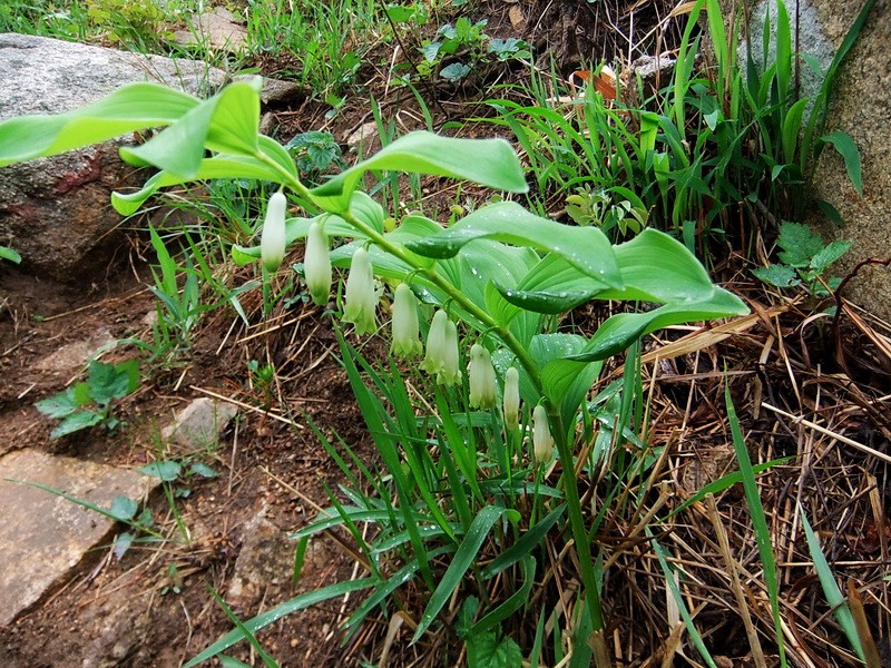 DSCF1835.jpg