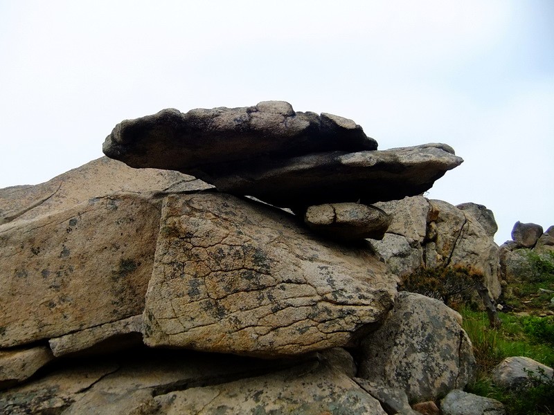 DSCF1852.jpg