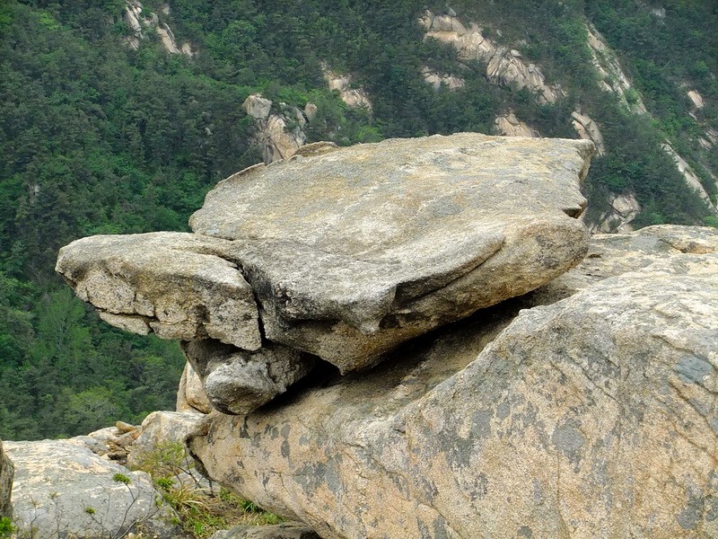 DSCF1880.jpg