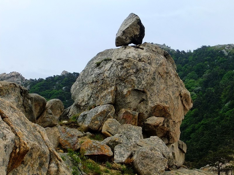 DSCF1873.jpg