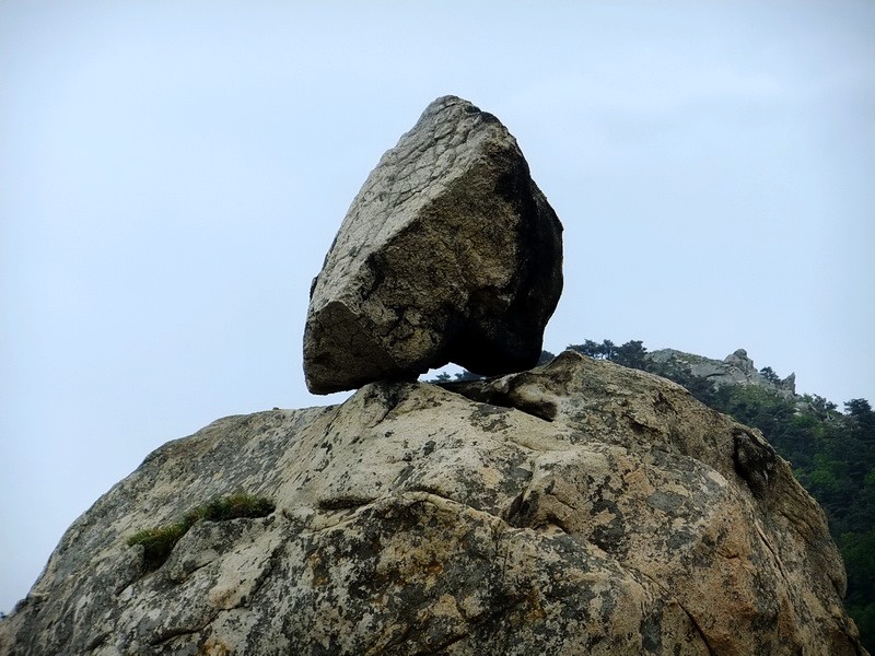 DSCF1871.jpg