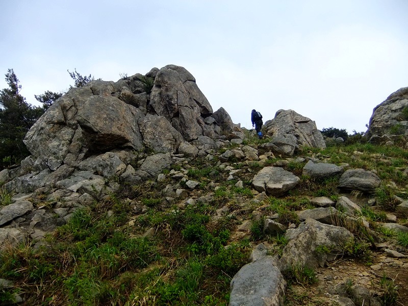 DSCF1955.jpg
