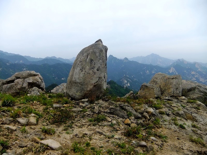 DSCF1957.jpg