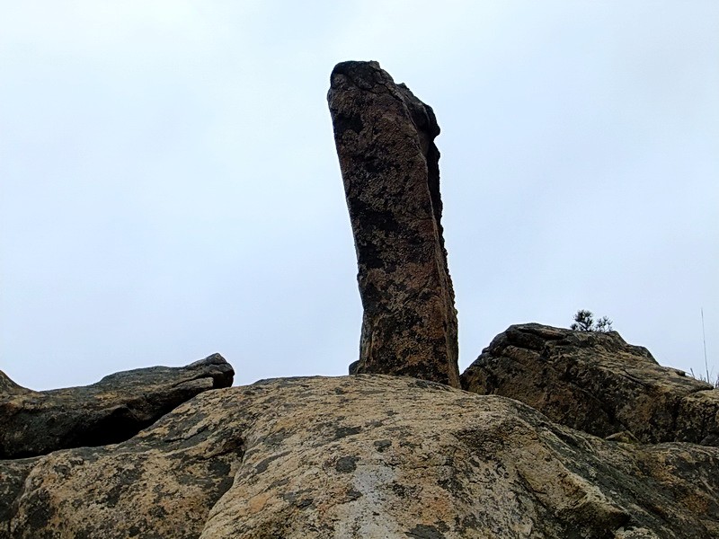 DSCF1991.jpg