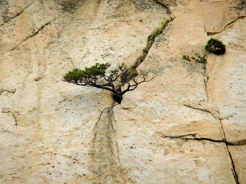 DSCF2248.jpg