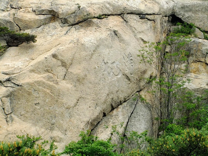 DSCF2241.jpg