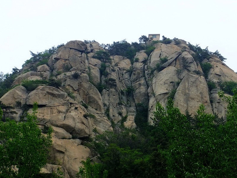DSCF2252.jpg