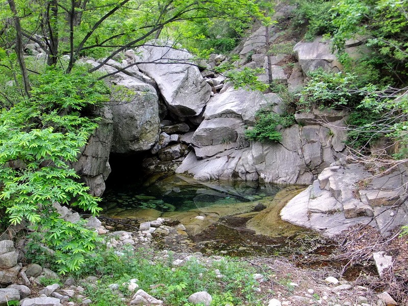 DSCF2256.jpg
