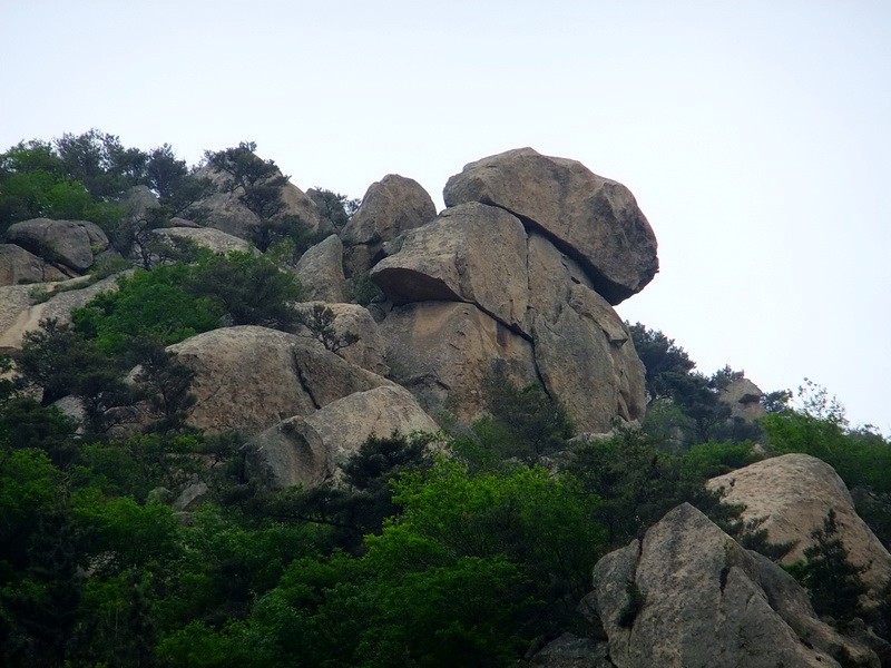 DSCF2250.jpg