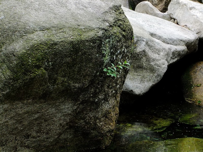 DSCF2271.jpg