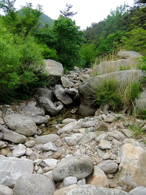 DSCF2274.jpg