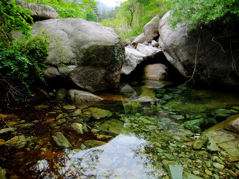 DSCF2265.jpg