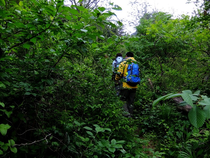 DSCF2281.jpg