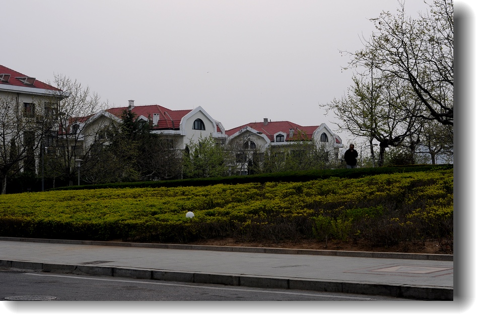 DSC_7730.jpg