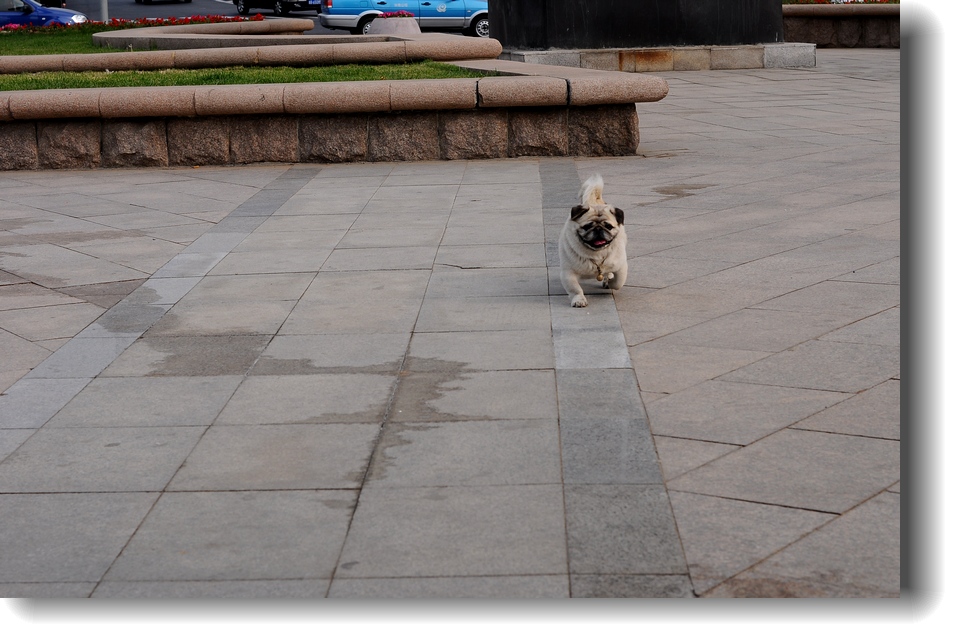 DSC_7749.jpg