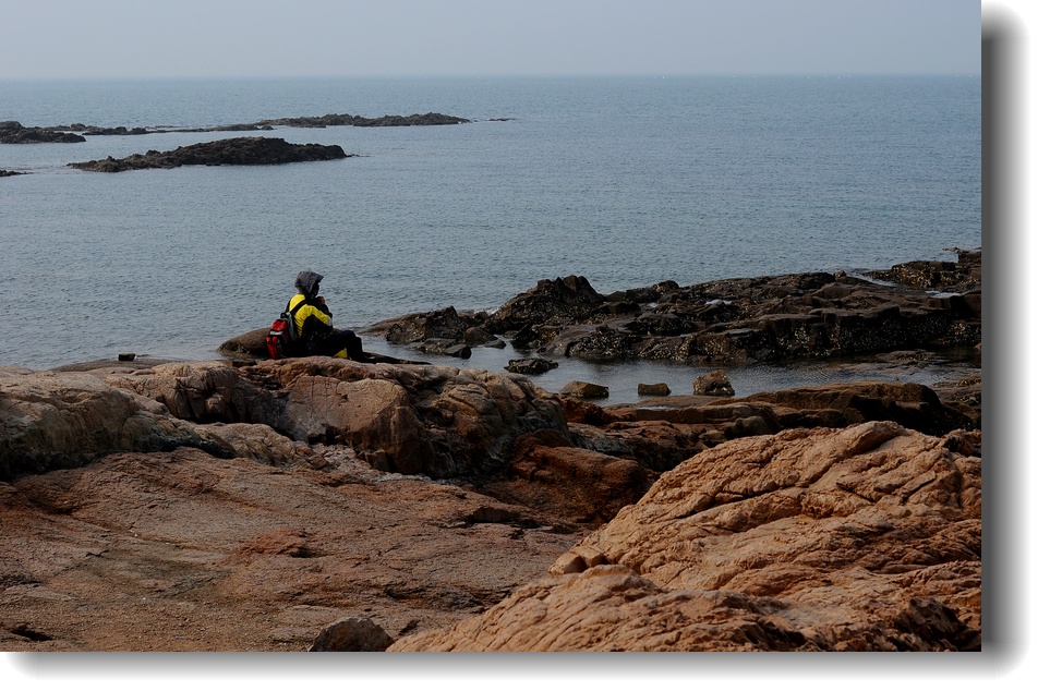 DSC_7788.jpg