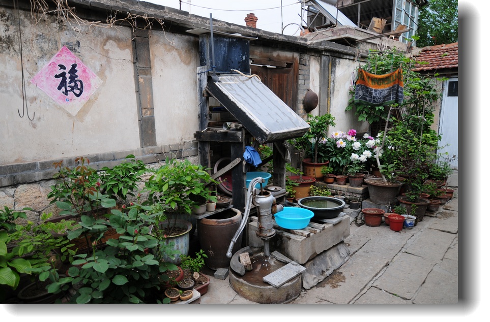DSC_1272.jpg