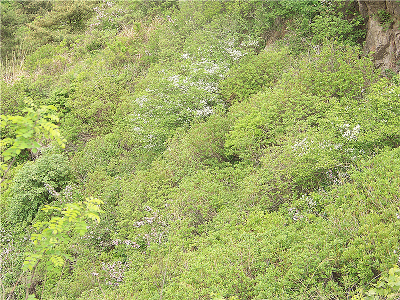 塔顶穿越狮子山 089_副本.jpg