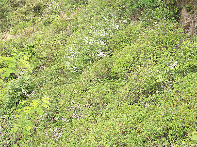 塔顶穿越狮子山 089_副本.jpg