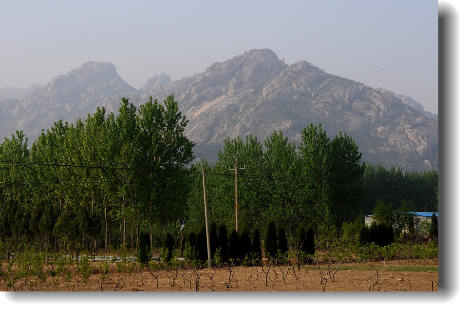 DSC_7877.jpg
