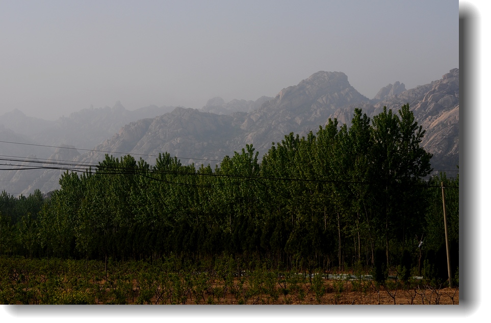 DSC_7878.jpg