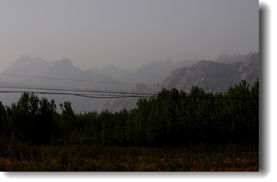 DSC_7879.jpg