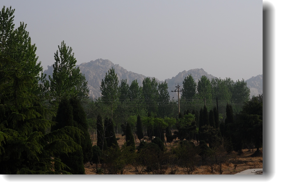 DSC_7905.jpg