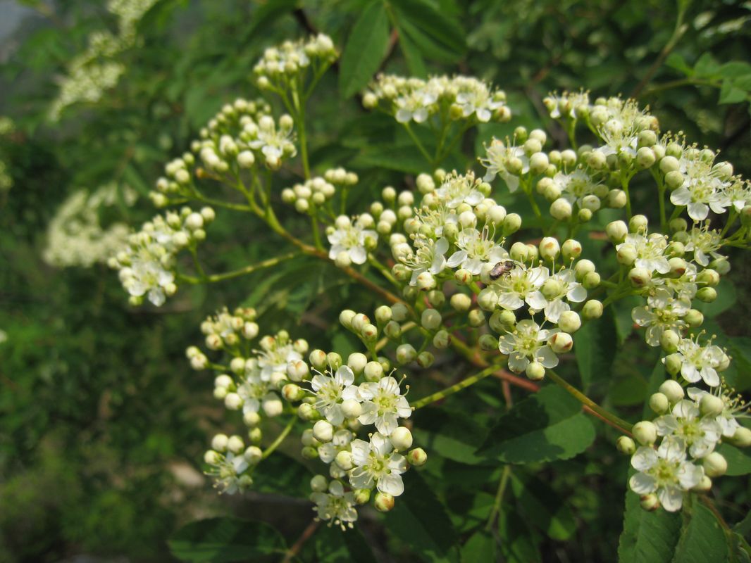 照片 077.jpg