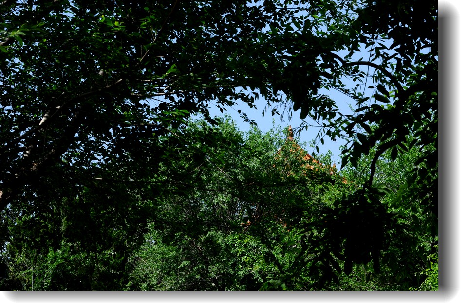 DSC_8079.jpg