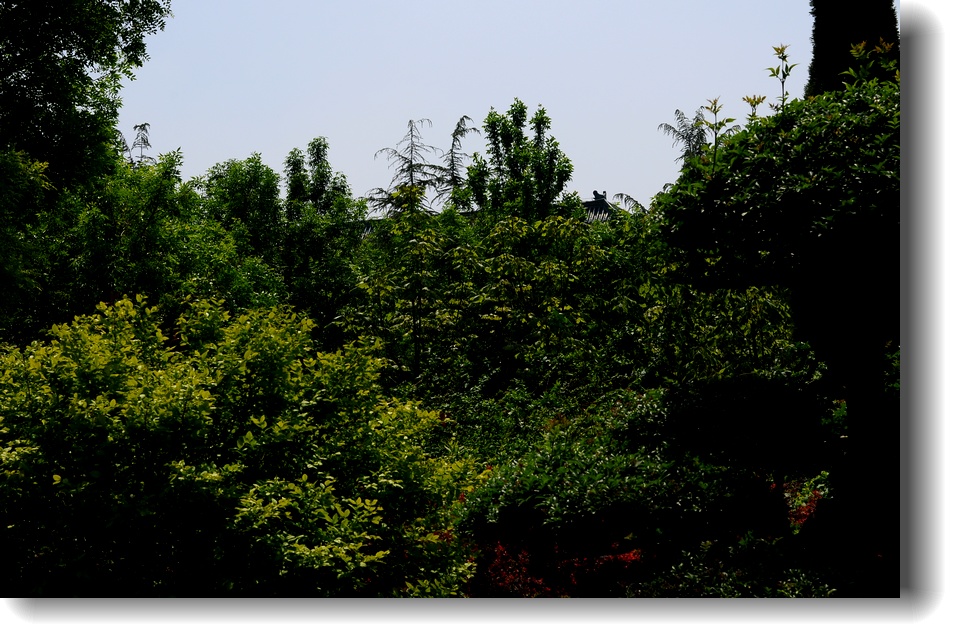 DSC_8101.jpg