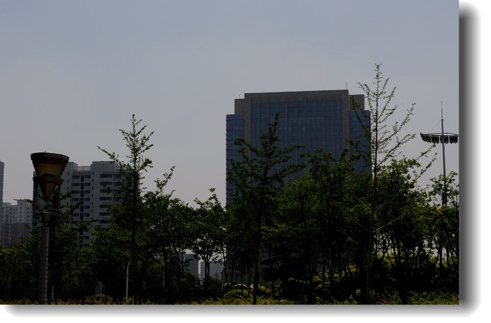 DSC_8110.jpg