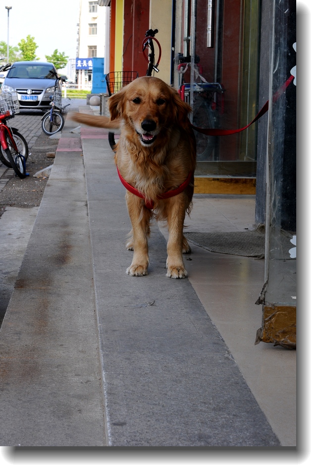 DSC_8132.jpg
