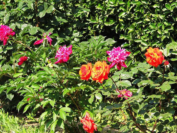 nEO_IMG_11-5-28昆嵛山蒿傋军营 008.jpg