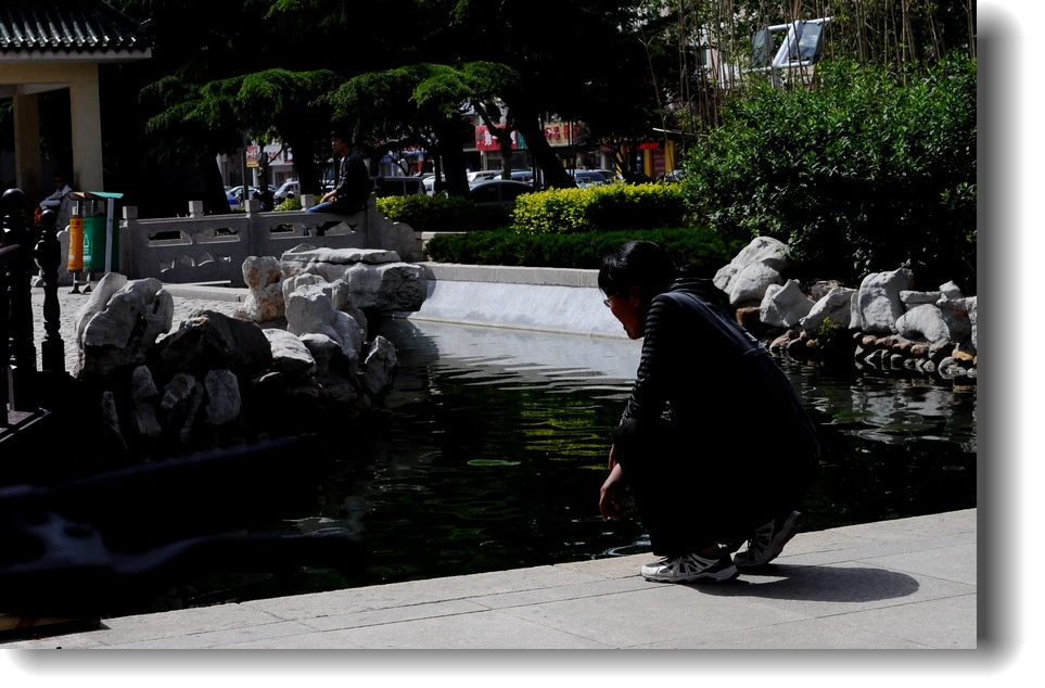 DSC_8169.jpg