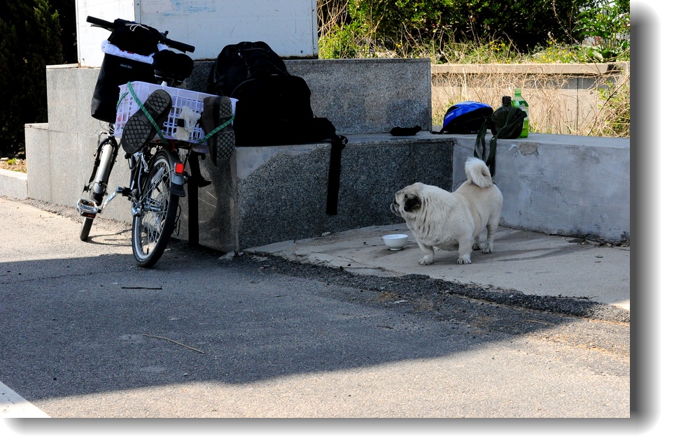 DSC_8226.jpg