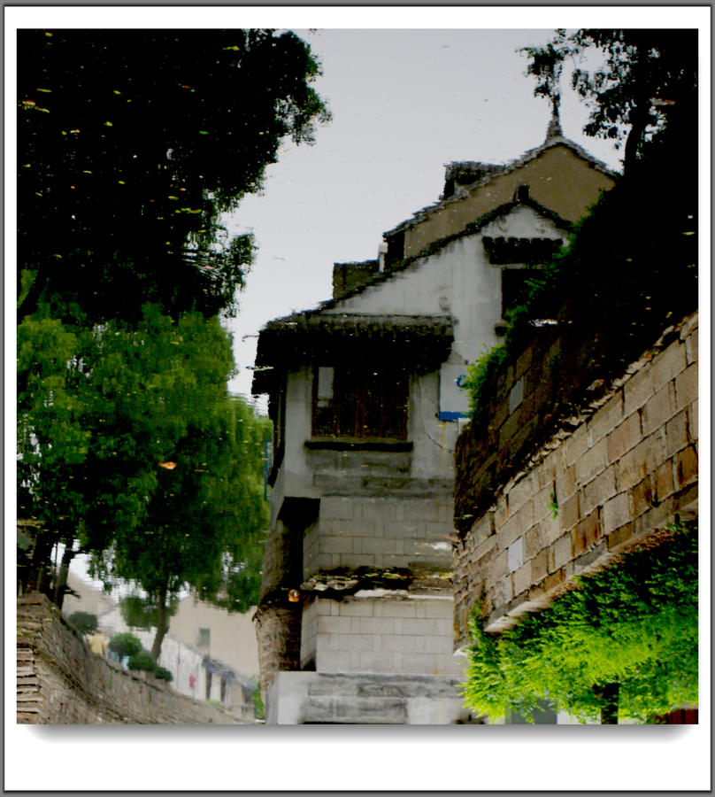 IMGP0678.jpg